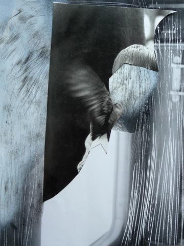 alles drinnen, 30 x 40 cm, Mischtechnik auf Lwd., 2005